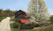 17th Apr 2021 - Rural buildings in the spring
