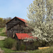 Rural buildings in the spring by mittens