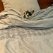 Alone in a big bed !  by cocobella