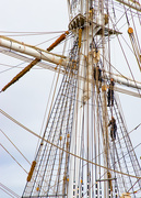 17th Apr 2021 - Up in the Rigging