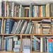 My Father’s Bookshelves  by 365nick