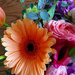 Spring Bouquet by larrysphotos