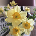 Spring by daffodill