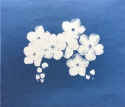 14th Apr 2021 - Forget-Me-Not Cyanotype 