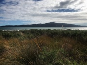 19th Apr 2021 - Kapiti Island 