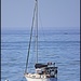 Santa Barbara sailboat by madamelucy