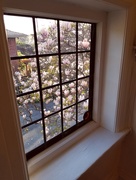 12th Apr 2021 - Spring View