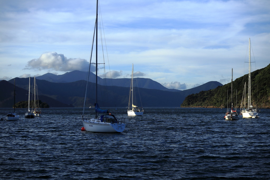 Farewell Picton and the South Island by suez1e