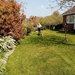 Lawn Cutting  by g3xbm