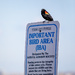 Please Note: Important Bird Area by jyokota