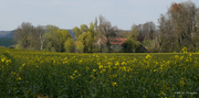 17th Apr 2021 - French coutryside