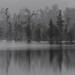A misty day trip around Lake Brunner West Coast S.I. by Dawn