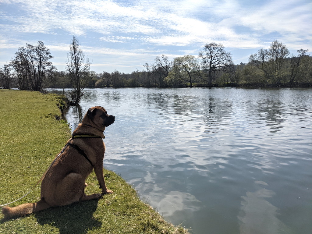 Sitting By The Thames by bulldog