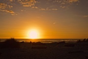8th Apr 2021 - Setting sun at Kohaihai, Karamea 