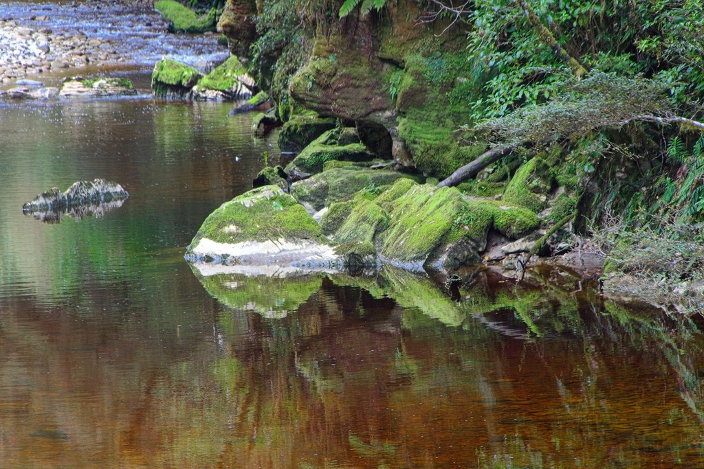 Mossy rock reflections by kiwinanna