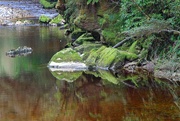 12th Apr 2021 - Mossy rock reflections