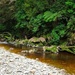 River run  by kiwinanna