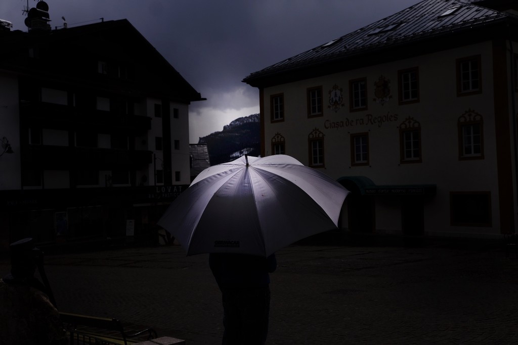 The violet umbrella  by caterina