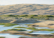 22nd Apr 2021 - Flooded Dunes