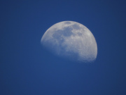 21st Apr 2021 - Blue Moon!