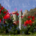 Arundel Castle's Poppies by 30pics4jackiesdiamond