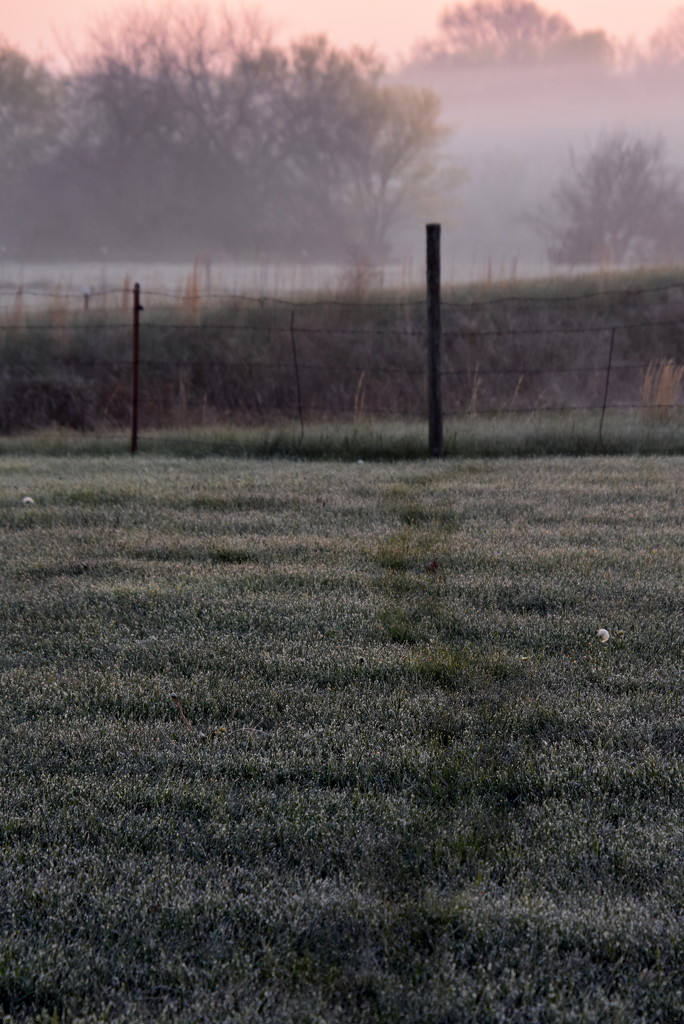 30 Shots, One Subject - 22 —Footsteps in the Frost by genealogygenie