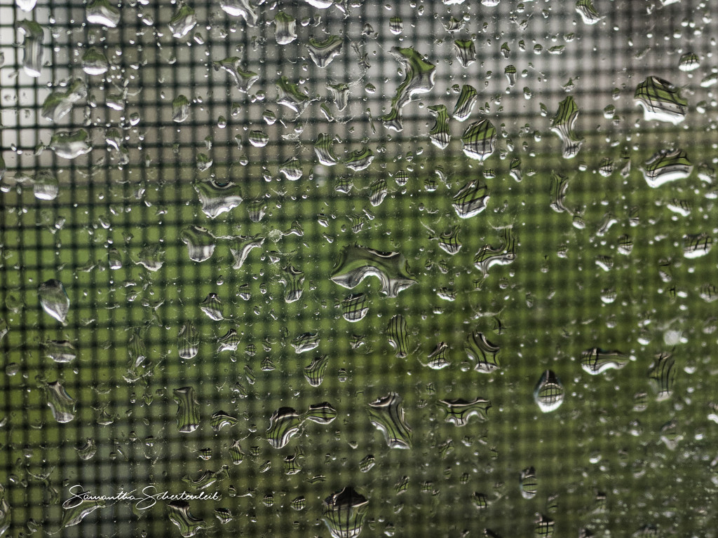 Patterned rain by sschertenleib