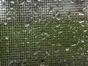 22nd Apr 2021 - Patterned rain