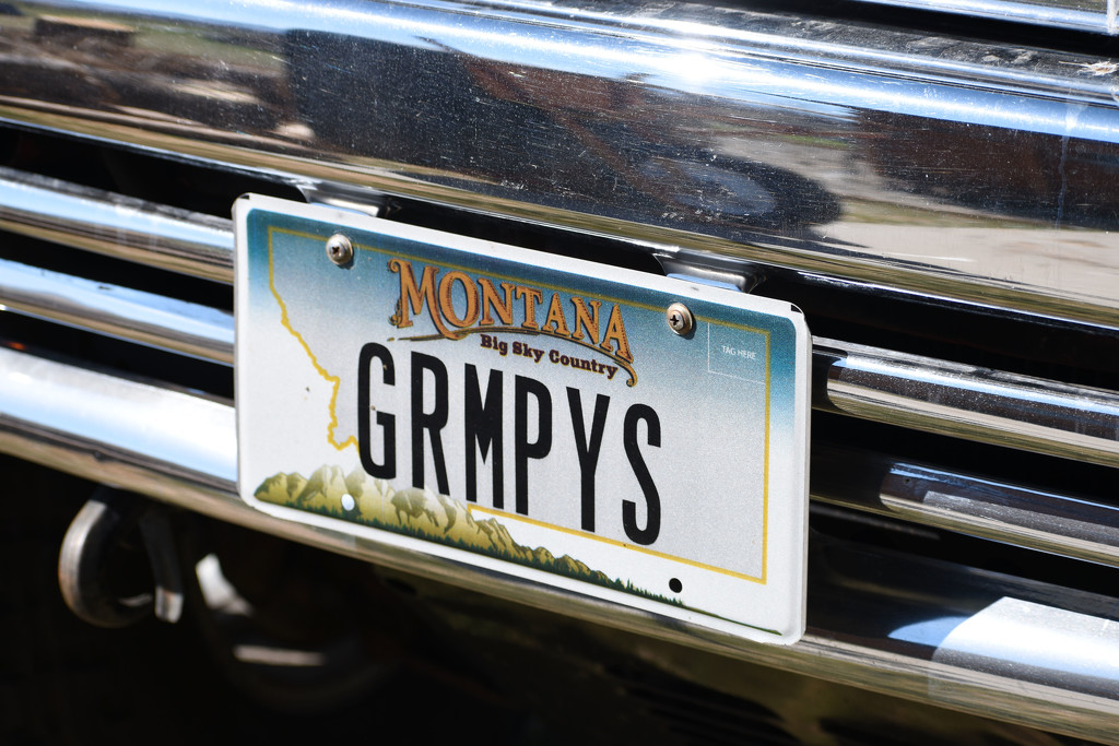 Grumpy's License Plate by bjywamer