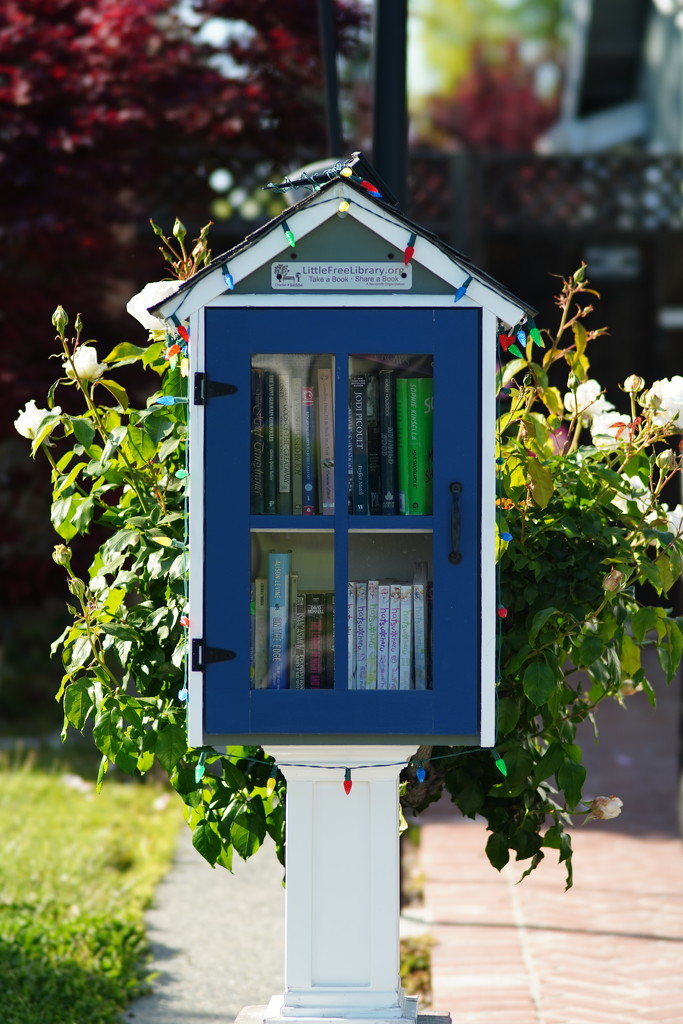 Book-sharing box by acolyte