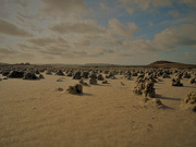 23rd Apr 2021 - Sandworms landscape