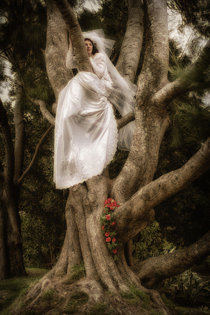 Tree Angel by helenw2
