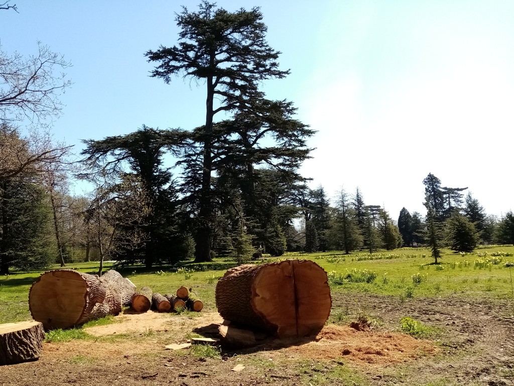 Logs by g3xbm