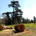 Logs by g3xbm