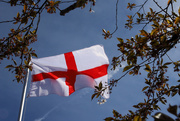 23rd Apr 2021 - Happy St Georges Day 