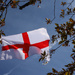 Happy St Georges Day  by phil_sandford