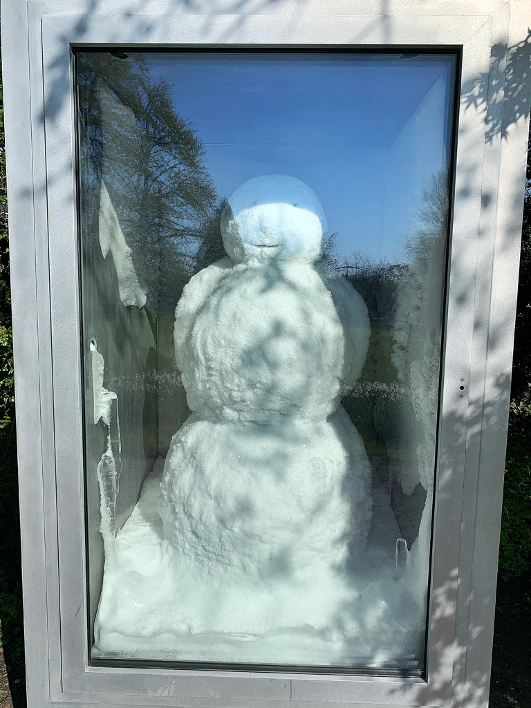 Snowman in a fridge.  by cocobella