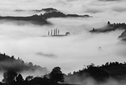 24th Apr 2021 - The fog
