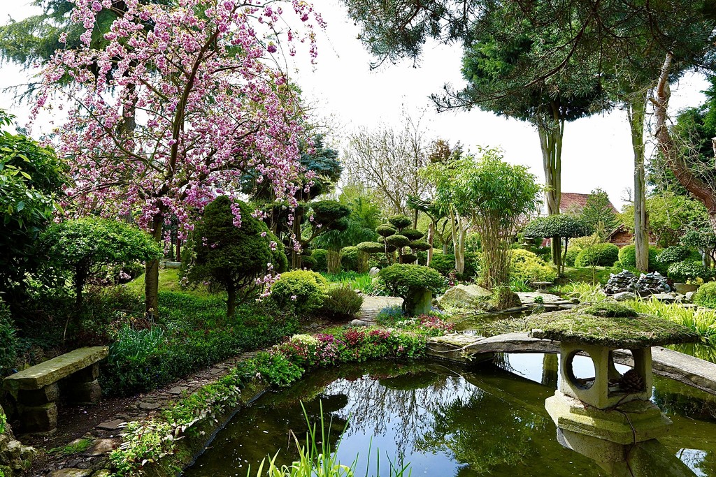 Japanese Garden by carole_sandford