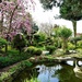 Japanese Garden by carole_sandford