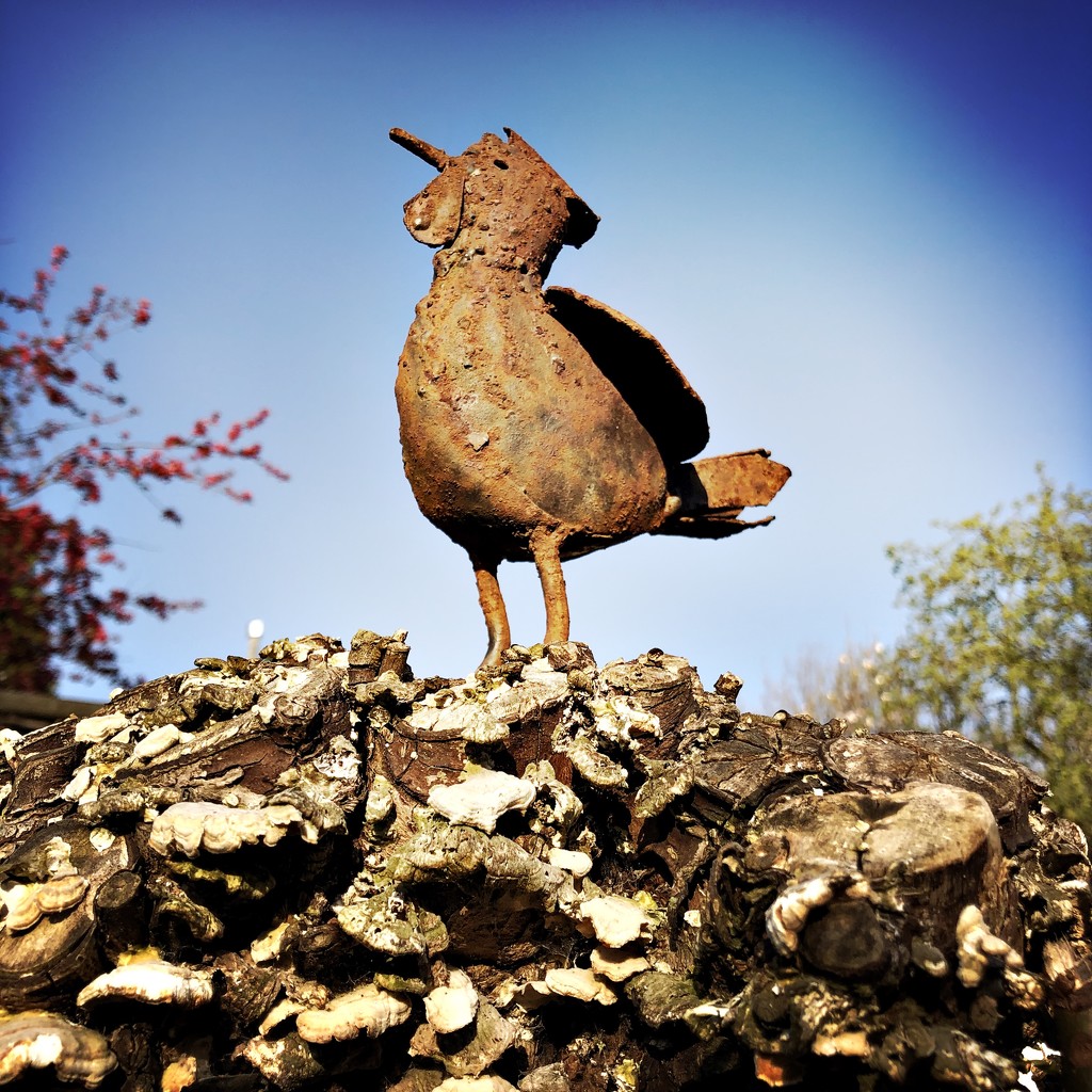 Rooster on top by mastermek