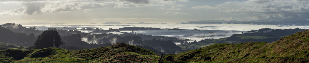 Above the Fog by nickspicsnz