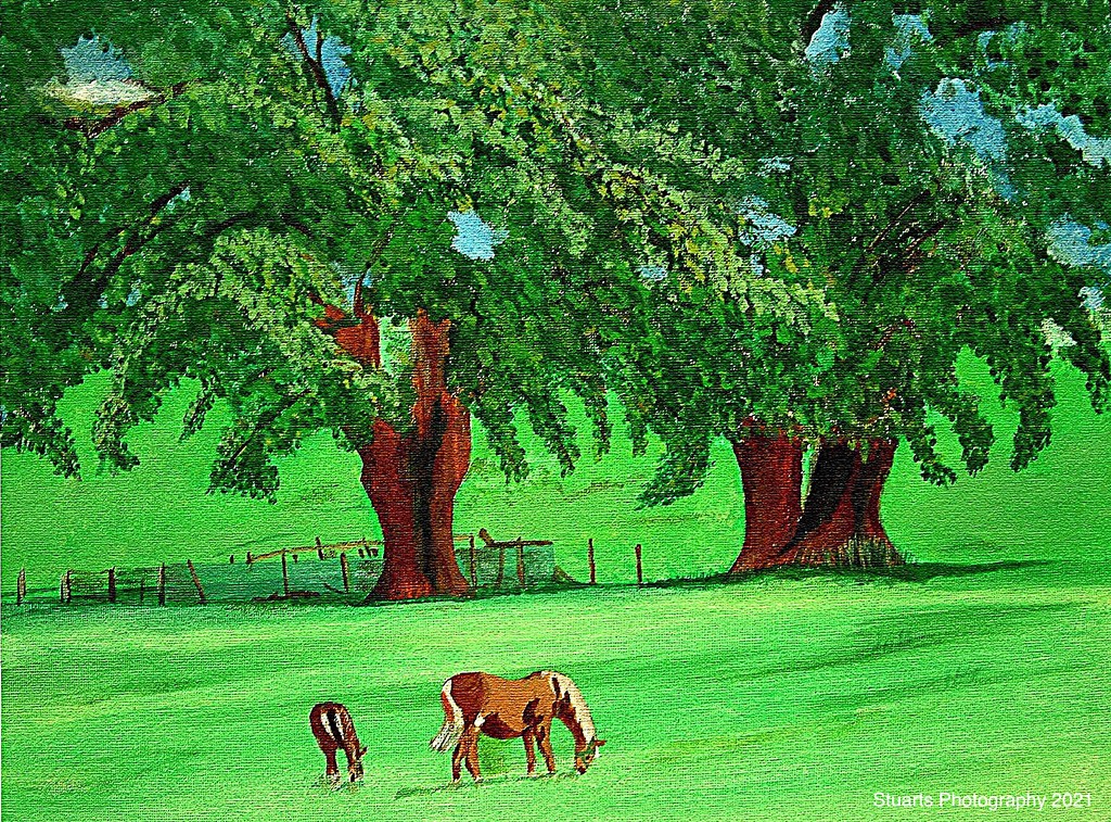 Horse and foal (painting) by stuart46