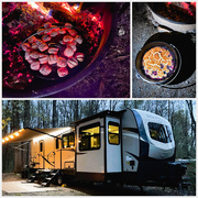 18th Apr 2021 - Campfire Blueberry Cobbler