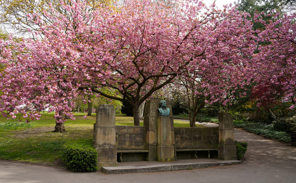 Sam Morley and his Blossom by phil_howcroft