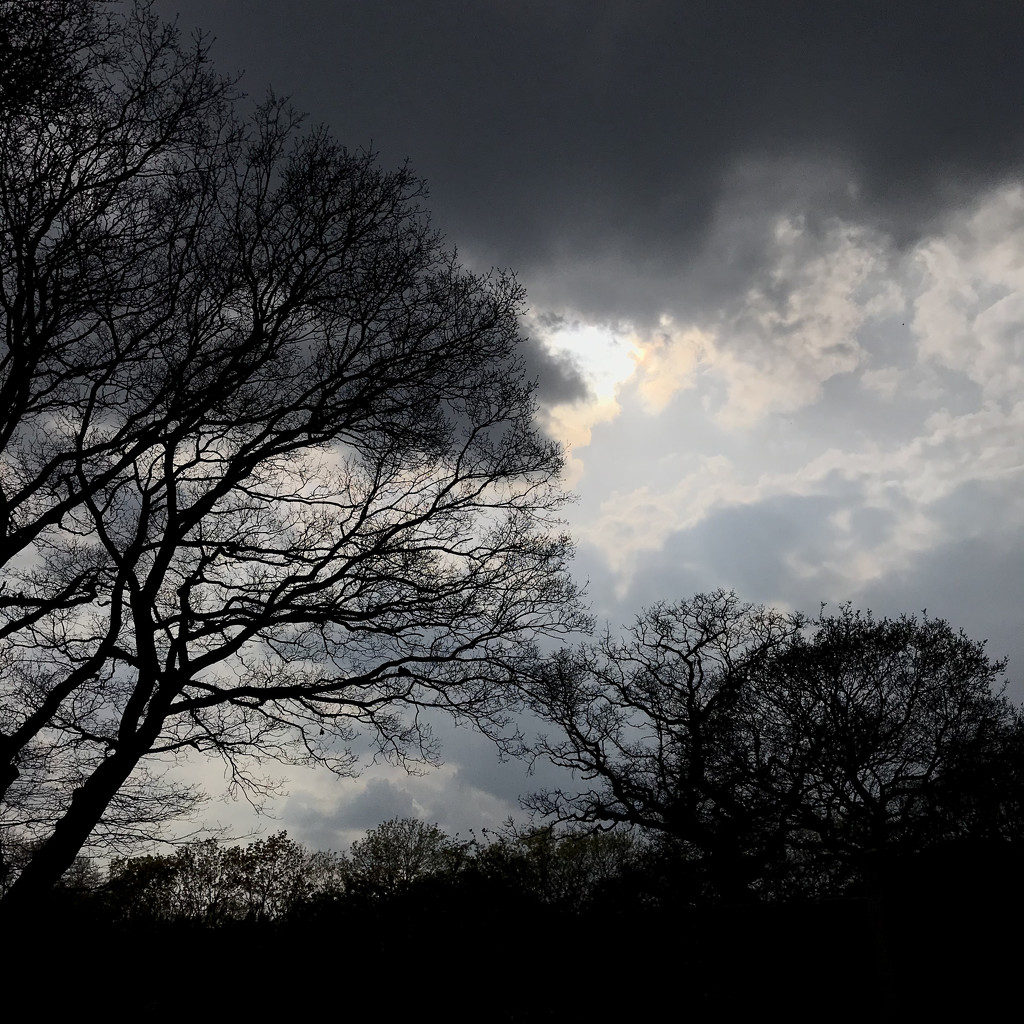 Dramatic Skies signifying nothing by daffodill