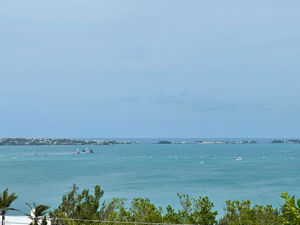 Go Aussies - The Bermuda Sail Grand Prix by lisasavill