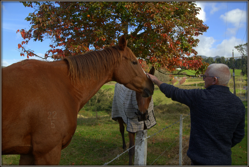 The horse whisperer... by dide