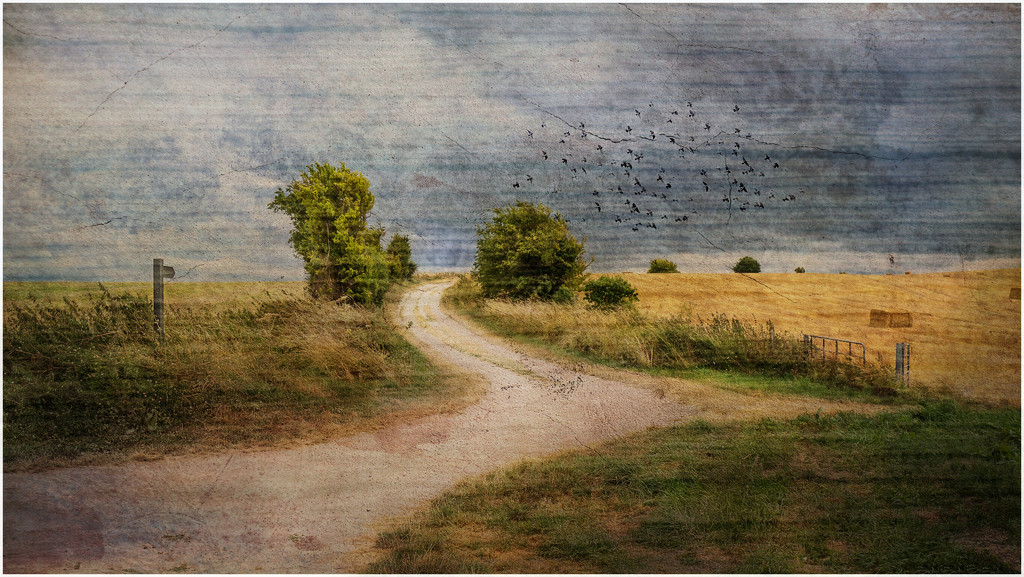 Ridgeway with Crows by jon_lip