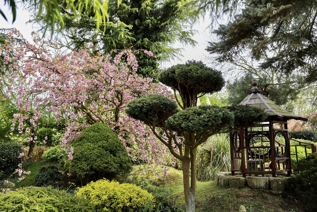 Pure Land Meditation Japanese Garden by phil_sandford